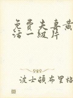 免费夫妻黄色生活一级片