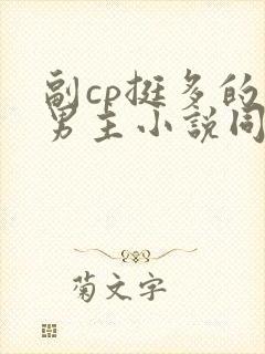 副cp挺多的双男主小说同人文