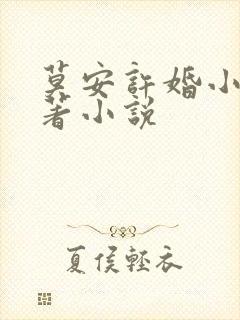 莫安许婚小说原著小说