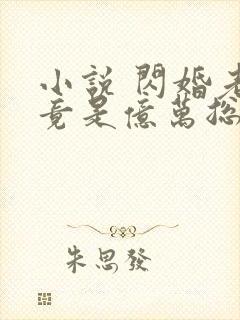 小说 闪婚老公竟是亿万总裁