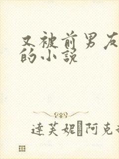 又被前男友盯上的小说