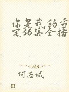 你是我的命中注定36集全播放