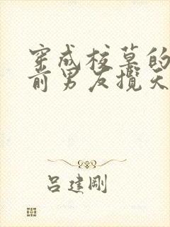 穿成校草的炮灰前男友揽天星免费