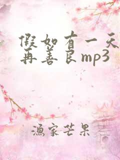 假如有一天我不再善良mp3