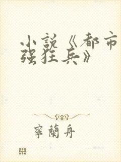 小说《都市之最强狂兵》