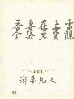 吾妻在上电视剧全集免费观看