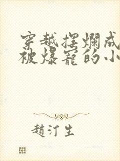 穿越摆烂成军嫂被爆宠的小说