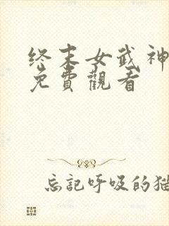 终末女武神一季免费观看