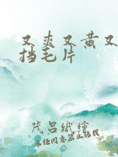 又爽又黄又无遮挡毛片