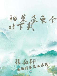 神墓辰东全本txt下载