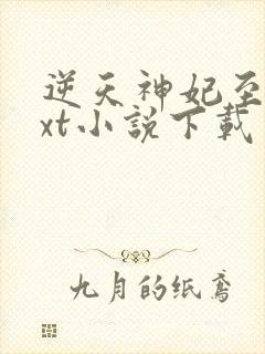 逆天神妃至上txt小说下载