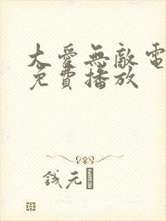 大爱无敌电视剧免费播放