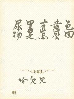 尿里有黄色分泌物是怎么回事