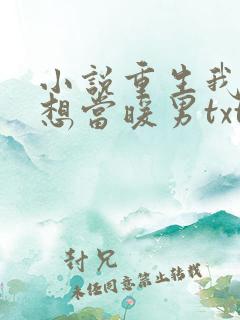 小说重生我真没想当暖男txt