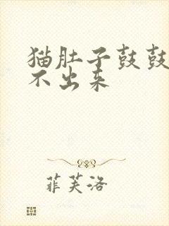 猫肚子鼓鼓的尿不出来