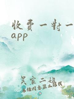 收费一对一聊天app