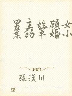 男主姓顾女主姓叶的军婚小说