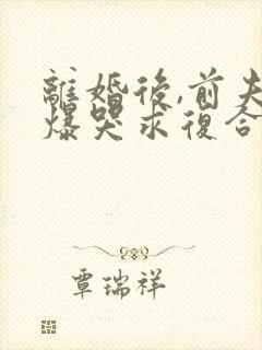 离婚后,前夫他爆哭求复合免费