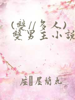 (双//多人)双男主小说推荐