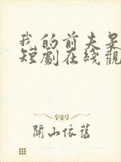 我的前夫是神医短剧在线观看