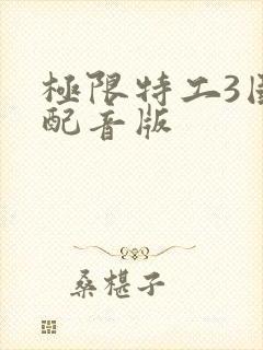 极限特工3国语配音版