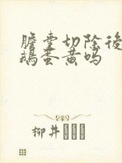 胆囊切除后能吃鹅蛋黄吗