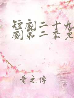 短剧二十九电视剧第二季免费观看高清