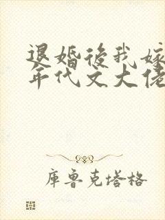 退婚后我嫁给了年代文大佬by卜元
