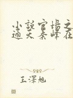 小说官场之手眼通天秦峰在线阅读