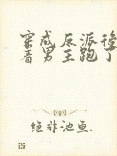 穿成反派后我扛着男主跑了小说