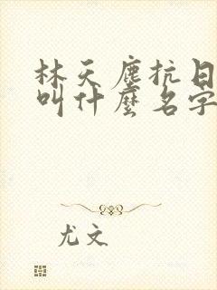 林天尘抗日小说叫什么名字