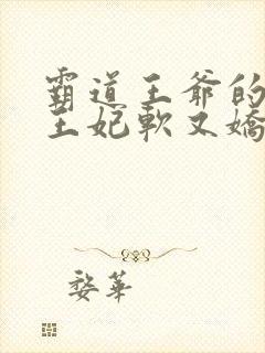 霸道王爷的替嫁王妃软又娇 小说