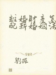 离婚财产怎样分配新婚姻法