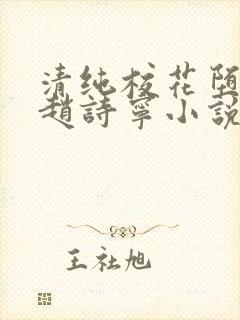 清纯校花堕落记赵诗宁小说