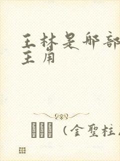 王林是哪部小说主角