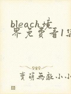 bleach境界免费看1集至115集