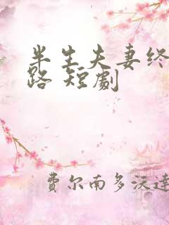 半生夫妻终成陌路 短剧