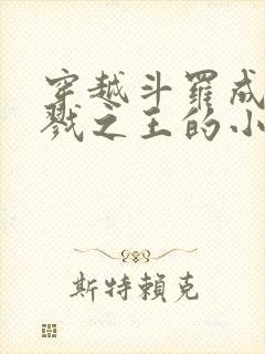 穿越斗罗成为杀戮之王的小说