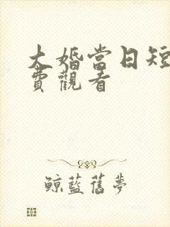 大婚当日短剧免费观看