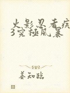 火影忍者疾风传3究极风暴