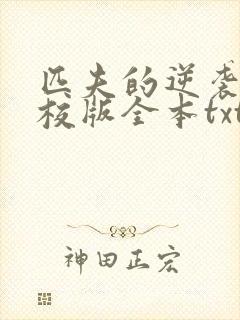 匹夫的逆袭 精校版全本txt