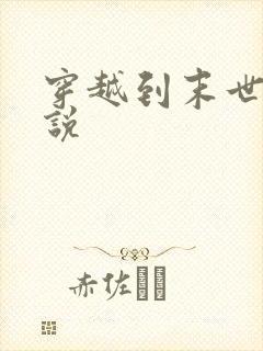 穿越到末世的小说