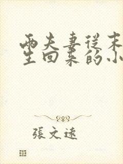 两夫妻从末世重生回来的小说