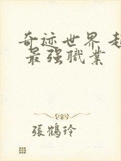 奇迹世界 起源 最强职业