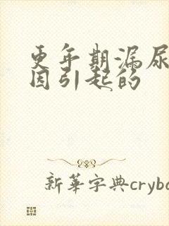 更年期漏尿的原因引起的