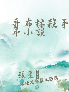 哥布林杀手第一年小说