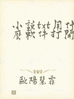小说txt用什么软件打开比较好