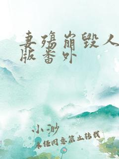 妻殇崩毁人生正版番外