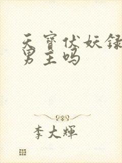 天宝伏妖录是双男主吗