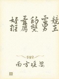 好看的电竞小说推荐双男主